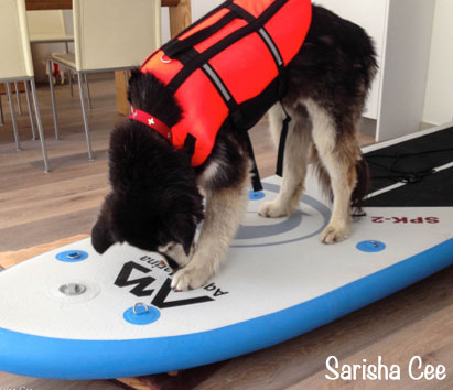 Spielerisches Erlernen für das SUP