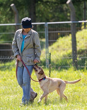 SKN Kurs, Praxis im Teamwork