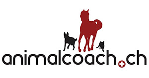 Hundeschule animalcoach.ch Biel - Sponsor Fotowettbewerb Hundeherz.ch