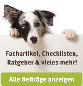 Hier gehts zu den Fachbeiträgen auf Hundeherz.ch