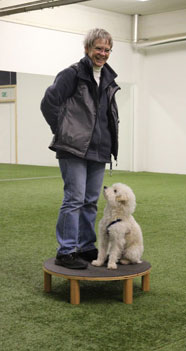 Hund und Halter stehen auf dem Podest.
