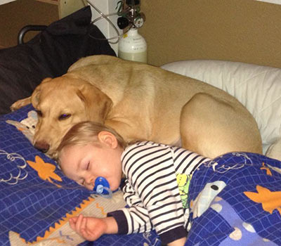 epilepsiekrankes Kind schläft - der Hund passt auf