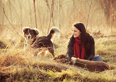 Gemeinsam mit dem Hund lernen