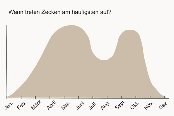 Zu Welcher Tageszeit Sind Zecken Aktiv www.hundeherz.ch