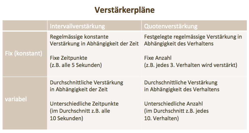 Grafik Verstärkerpläne - Lerntheorie positive Belohnung