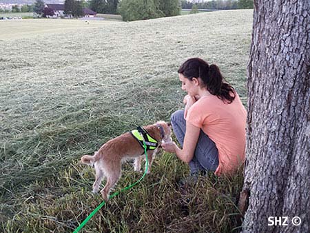 Am Ziel: Belohnung für den Hund
