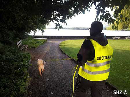 Ein Hund bei der Personensuche