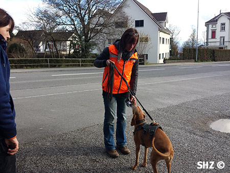 Hund nimmt Geruch auf