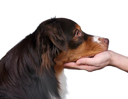 Medical Training - Initiator Signal