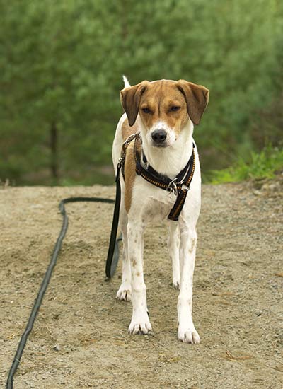 Wichtig in der Verhaltenstherapie: erarbeiten eines positiven Weltbildes