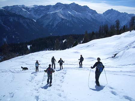Schneeschulaufen mit Hund - Winter Engadin