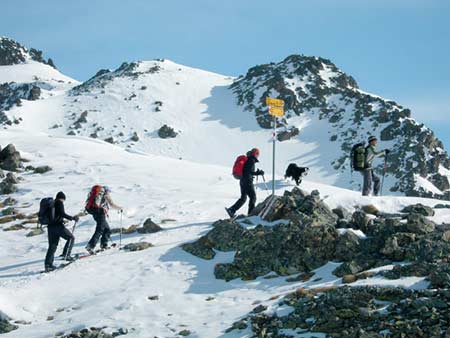 Wandern mit Hund im Winter
