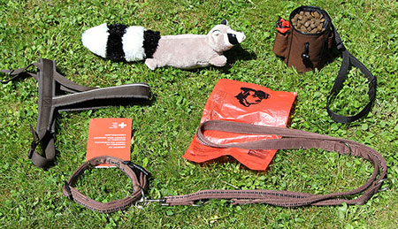 Grund-Ausrüstung für die Hundeschule