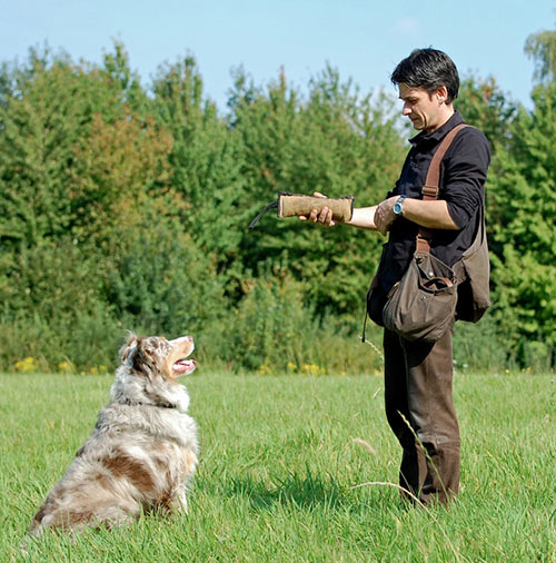 Hund-Mensch-Team im Dummytraining