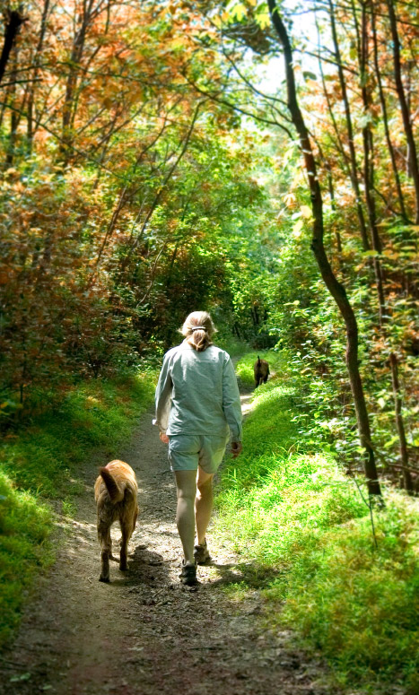Hundesitter mit zwei Hunden unterwegs in der Natur.