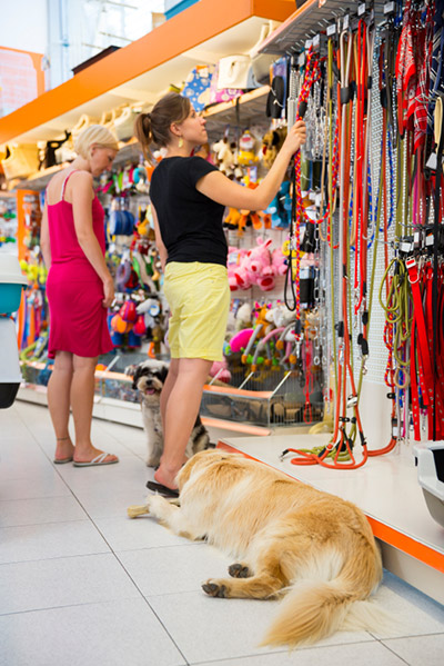 Zwei Hundehalterinnen suchen nach dem gewünschten Artikel.