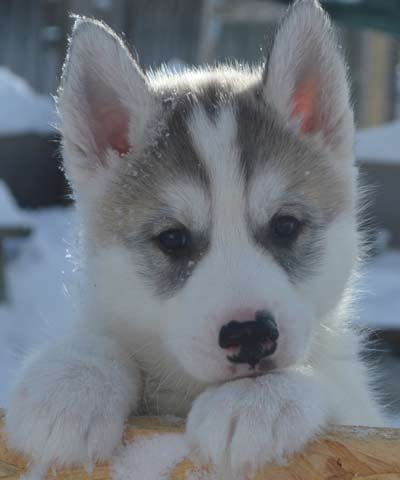 16. Rang Fotowettbewerb