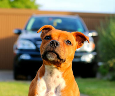 17. Rang Fotowettbewerb