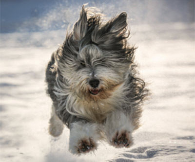 3. Rang Fotowettbewerb