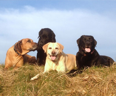 4. Rang Fotowettbewerb