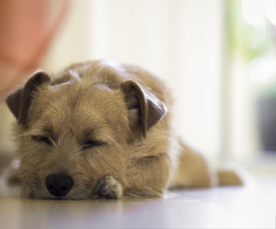 5. Rang Fotowettbewerb