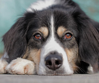 7. Rang Fotowettbewerb