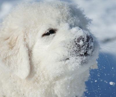 8. Rang Fotowettbewerb