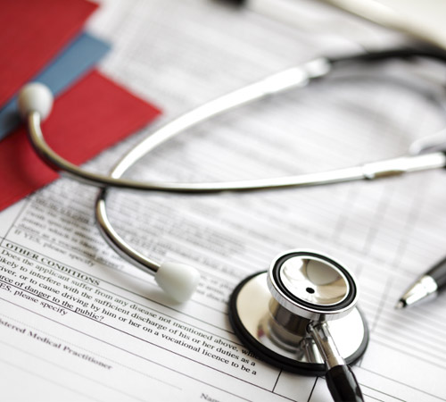 Eine Datenbank für sämtliche Zuchttiere und deren Gesundheit usw. wäre sinnvoll.