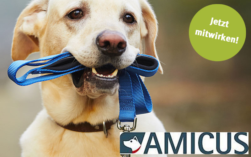 Hundedatenbank AMICUS - offene Fragen?