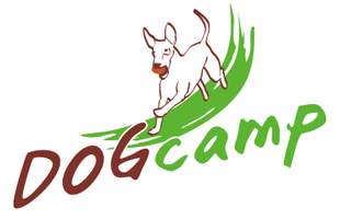 Dogcamp