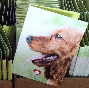 Hundeherz.ch Mappe - Special für die Hundemesse