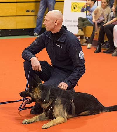 Diensthunde Spezialgäste an der Hundemesse 2018 in Winterthur