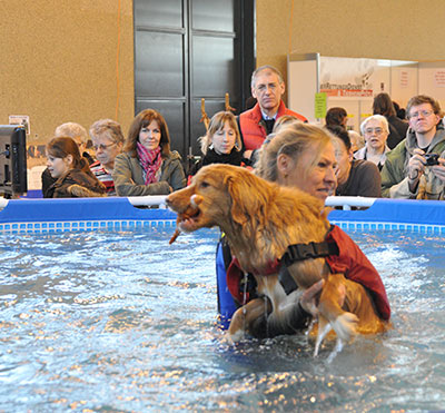 Wassertherapie live im Pool.