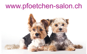 Gutschein gewinnen vom Pfoetchen-salon.ch