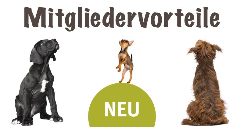 Mitgliedervorteile Hundeherz.ch