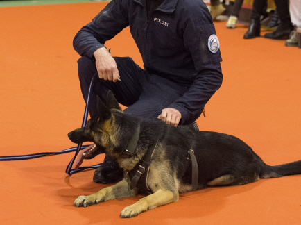 Hundemesse_Winterthur_2023