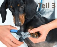 Medical Training - Teil 3, Hundeportal
