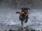 Outdoorfotografie - Action