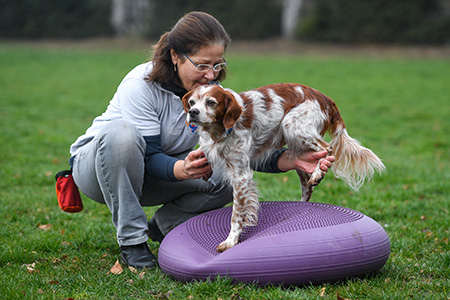 tierphysiotherapie-hundephysiotherpie-schweiz